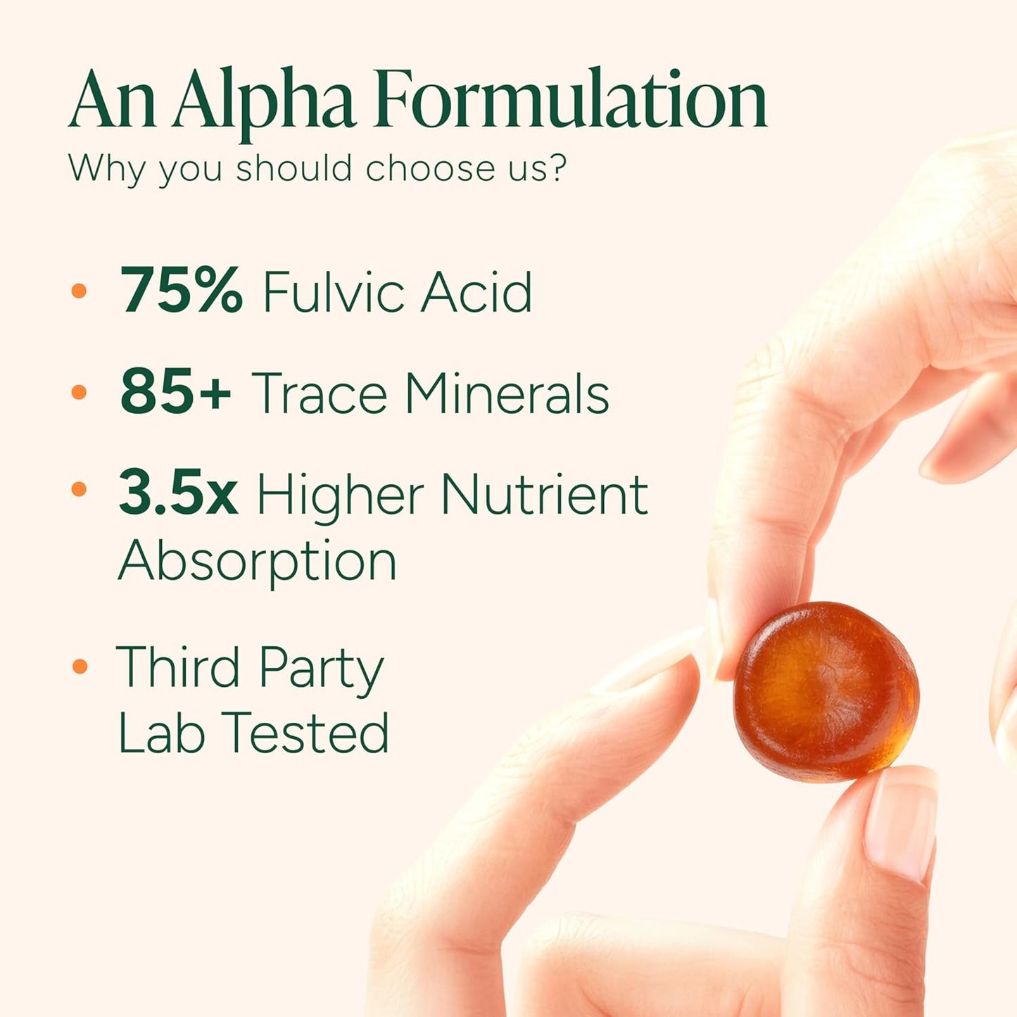 Shilajit Gummies