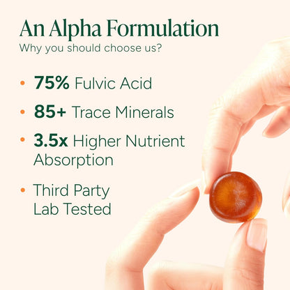 Shilajit Gummies